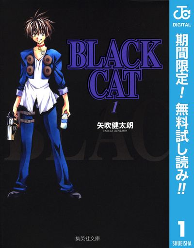blackcat1cover