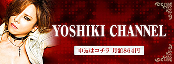 yoshikichannel_banner1w350.jpg