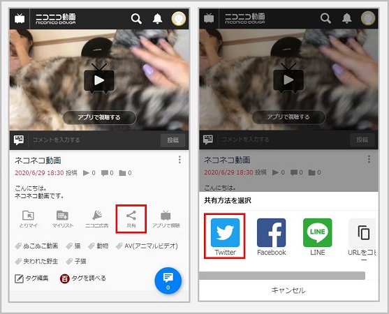 動画内の好きなシーンをtwitterでシェアできるようになりました スマホブラウザ版ニコニコ動画 ニコニコインフォ