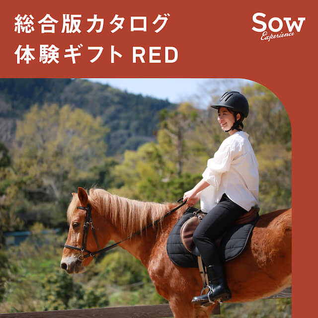 総合版カタログ 体験ギフト RED